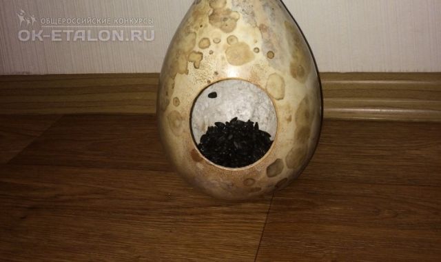 Всероссийский творческий конкурс "Кормушка для пичужки". Автор работы: Аксененко Даниил